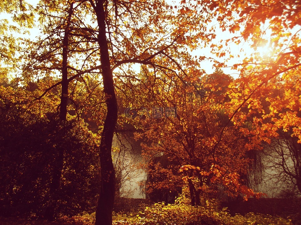 秋,太阳,性质