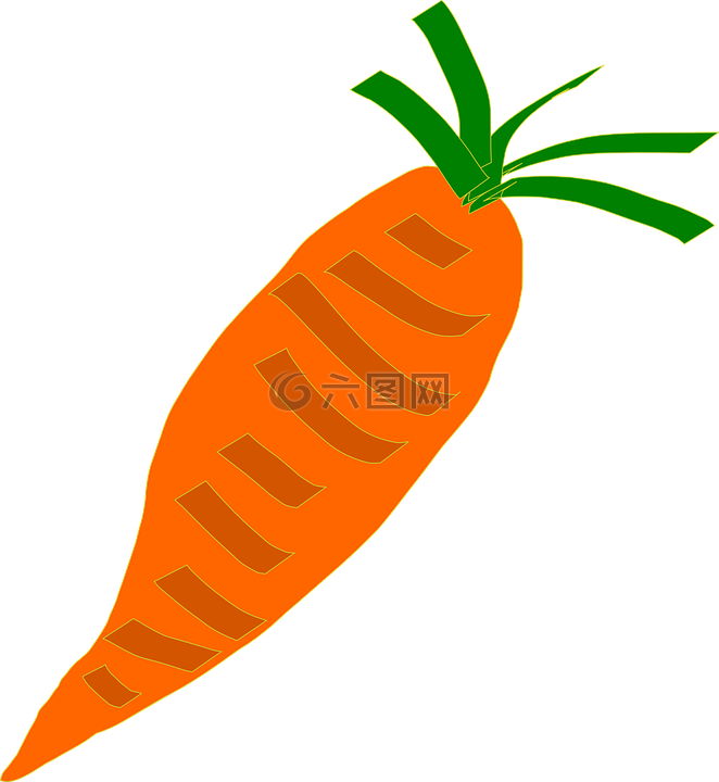 胡萝卜,橙色,蔬菜