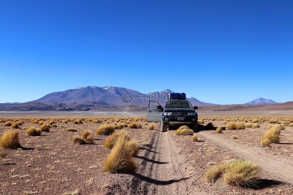 玻利维亚,假期,客场之旅