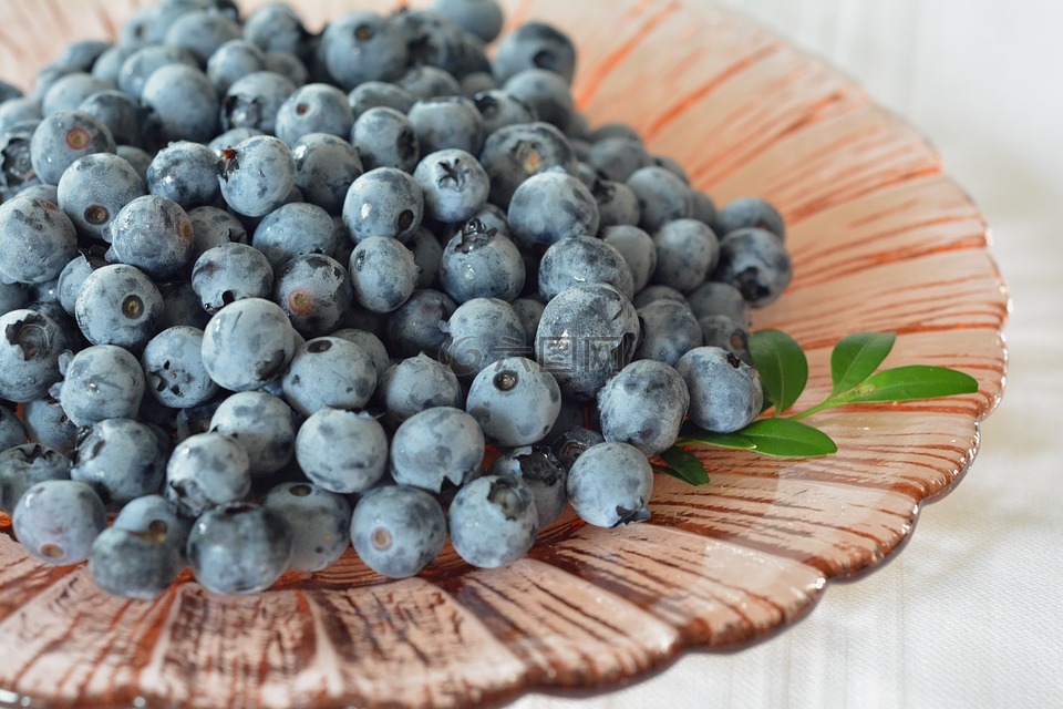 蓝莓,越桔,浆果