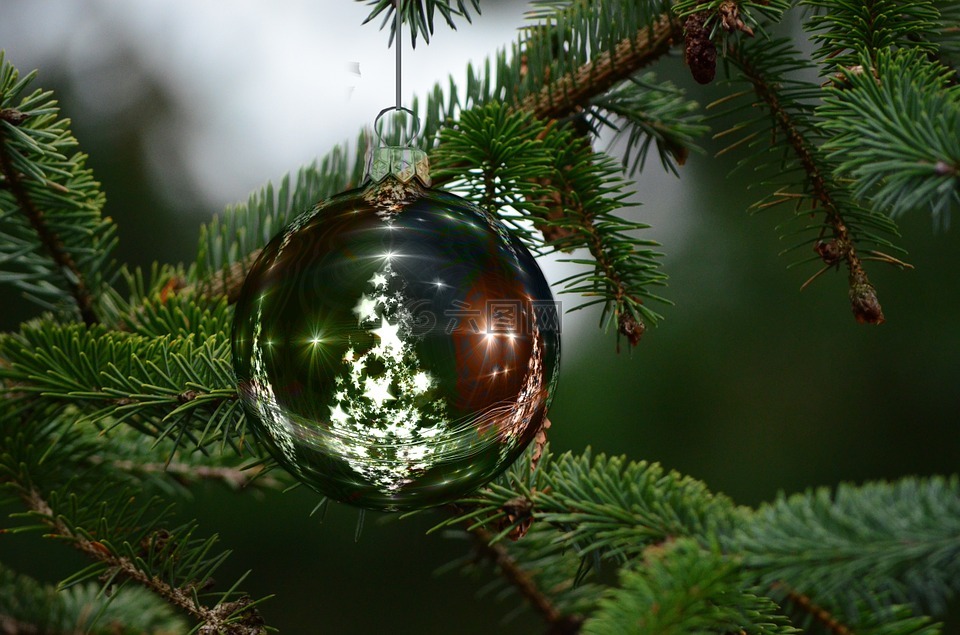 圣诞饰品,圣诞树,圣诞节