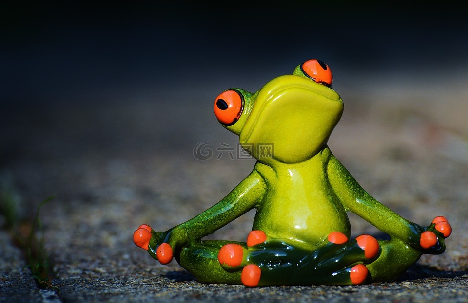 瑜伽,青蛙,轻松