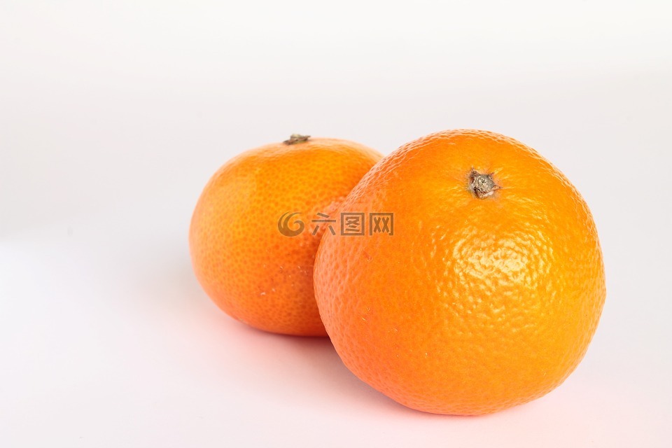 橘子,官吏,柑橘