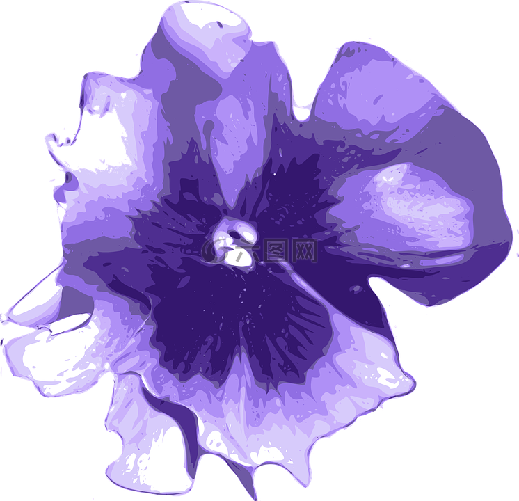 花,紫色,蓝色