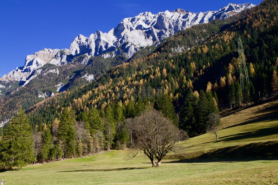 山,高山,森林