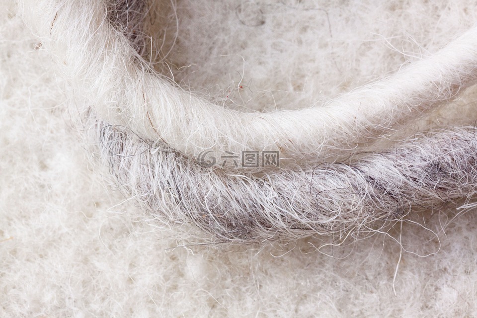 绵羊的毛,绵羊毛毡,天然纤维