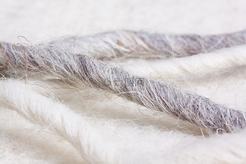 绵羊的毛,绵羊毛毡,天然纤维