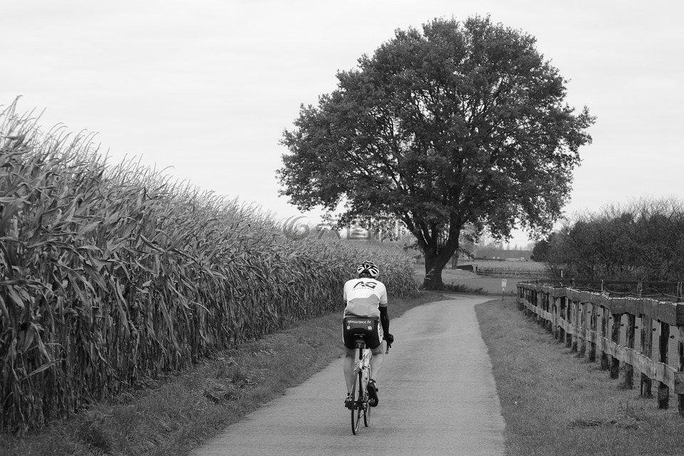 骑单车的男子,骑自行车,体育