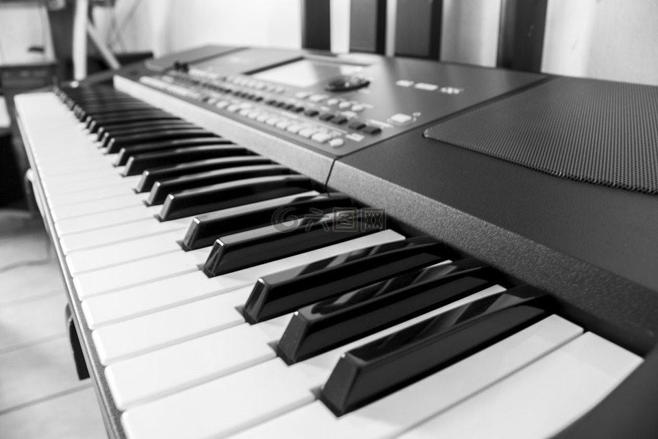 键盘,编曲,音乐