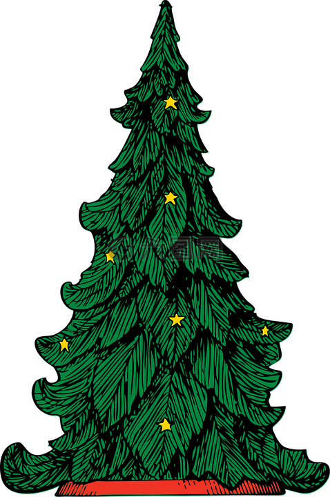 圣诞节,树,绿色