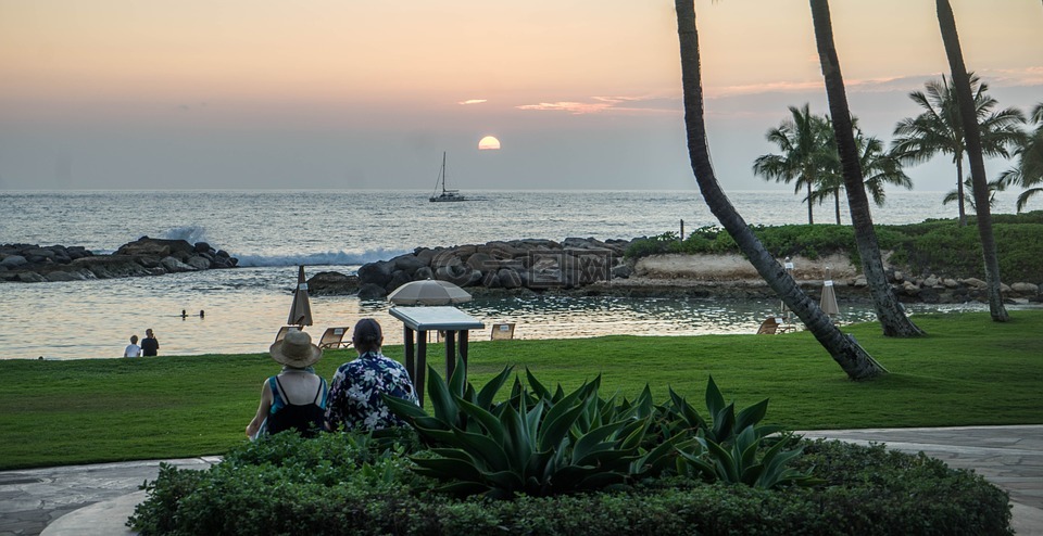 日落,夏威夷,棕榈树