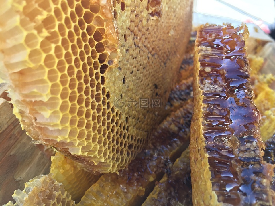 土蜂蜜,原生态,自然