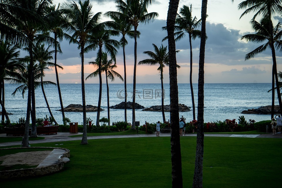 日落,夏威夷,瓦胡岛