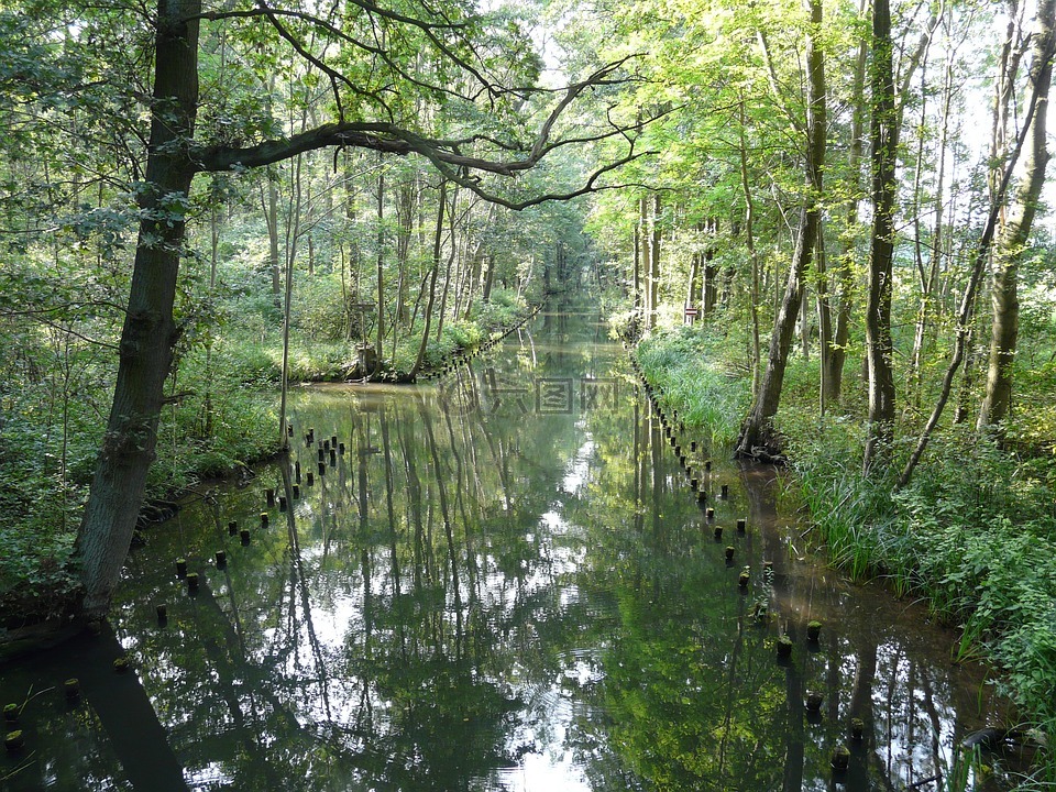 spreewald,生物圈保护区,牧歌