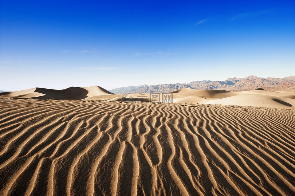 沙漠 沙 干高清图库素材免费下载 图片编号 六图网