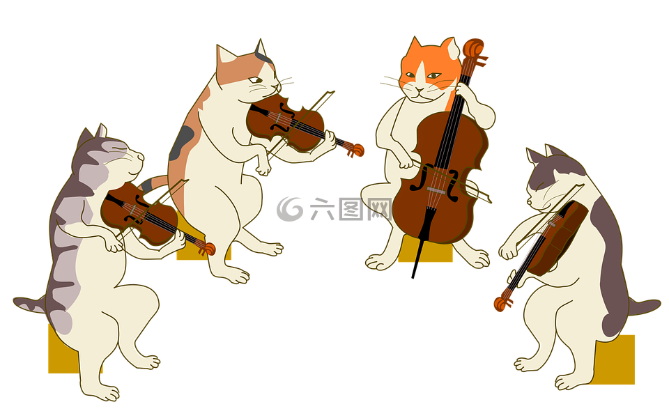 四方,猫咪,小提琴