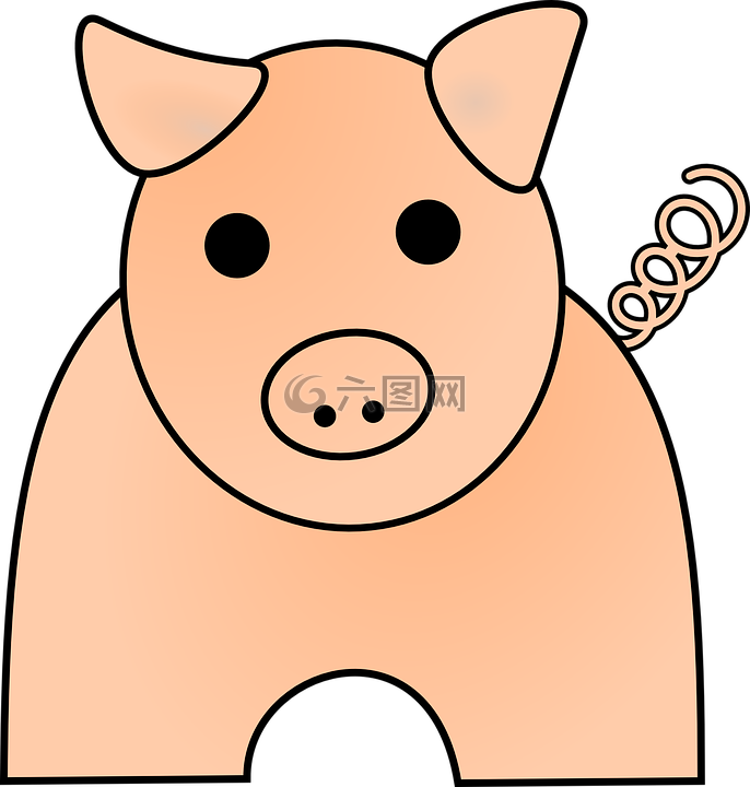 猪,动物,猪肉