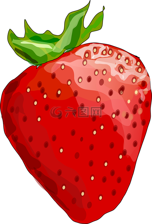 草莓,水果,食品