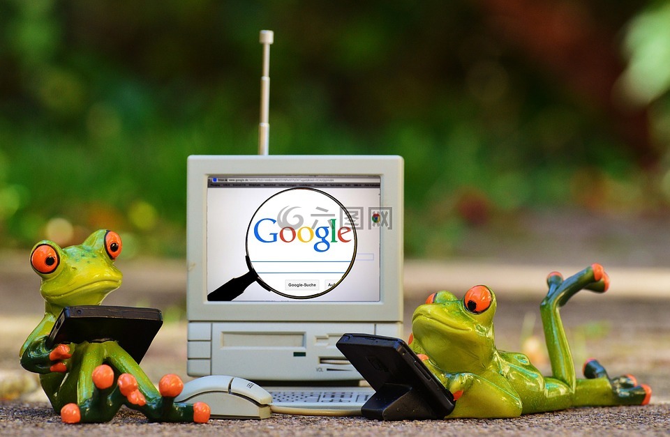 青蛙,计算机,谷歌