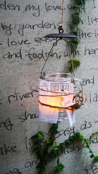 背景,生态,叶子