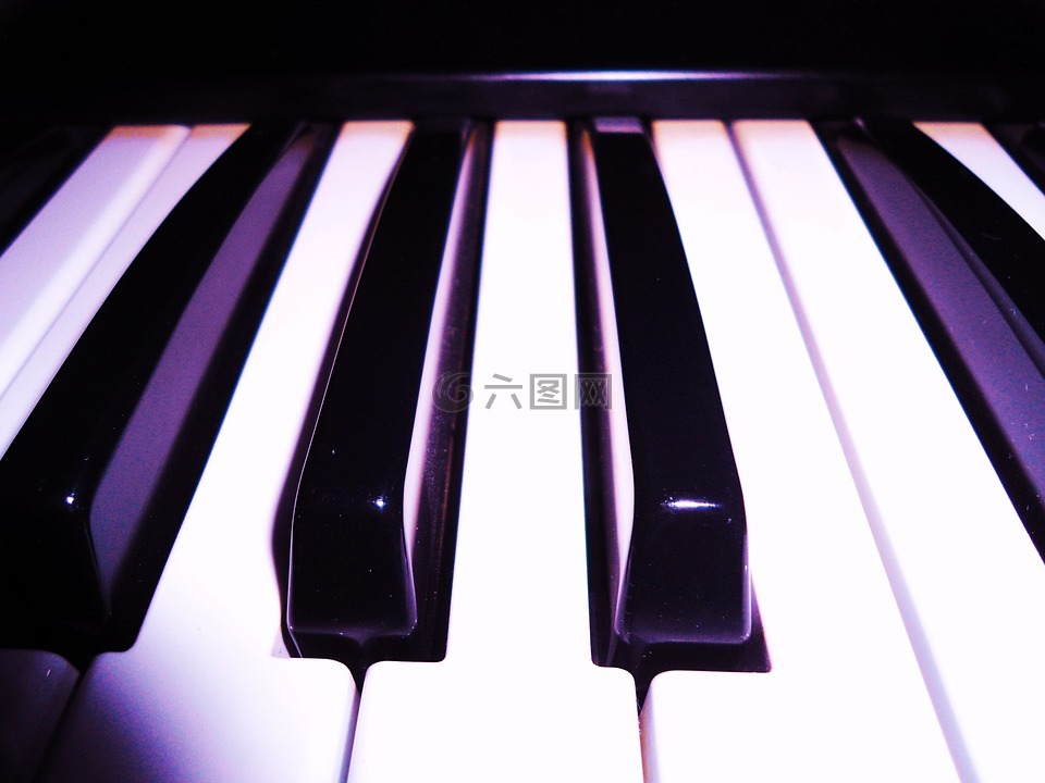 钢琴,器官,键盘