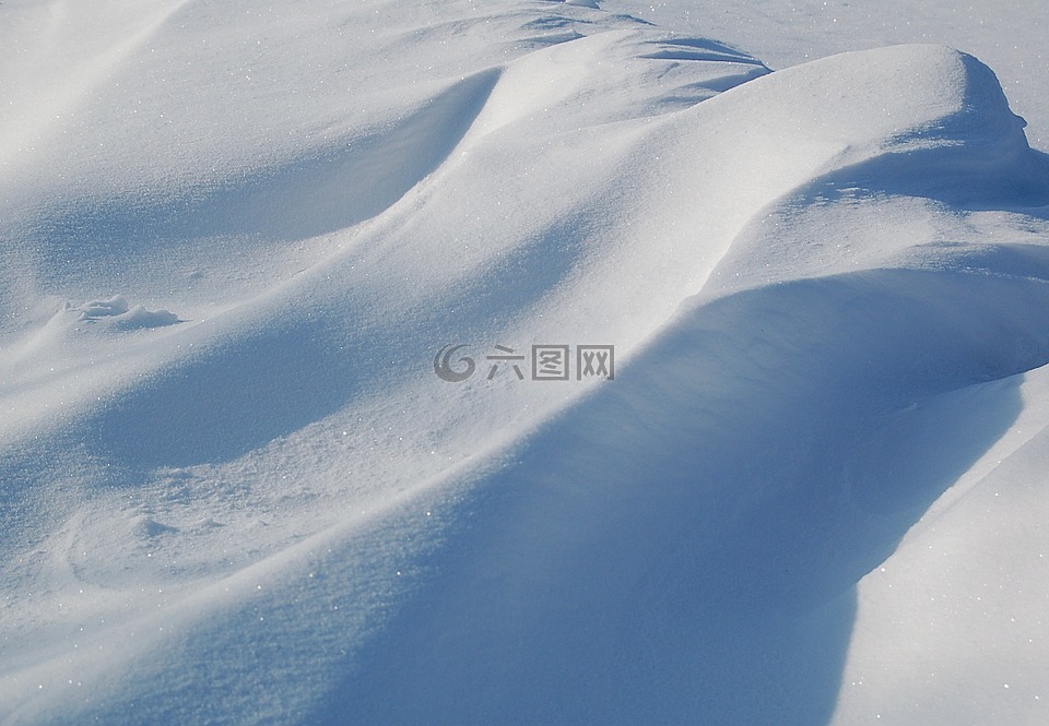 冬季,背景,雪