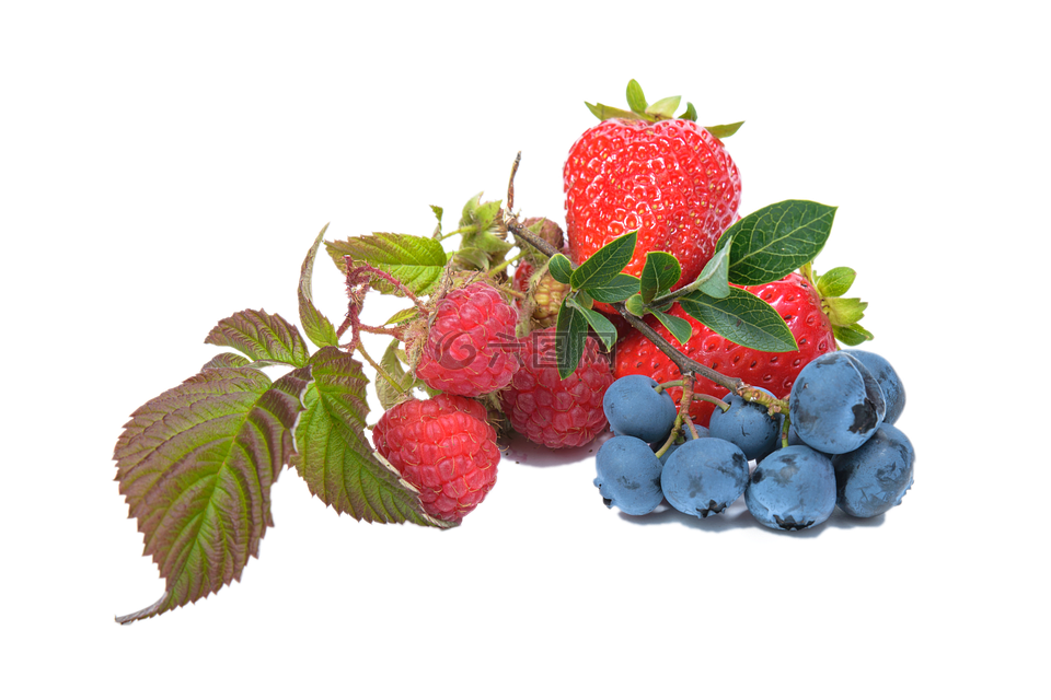 蓝莓,覆盆子,草莓