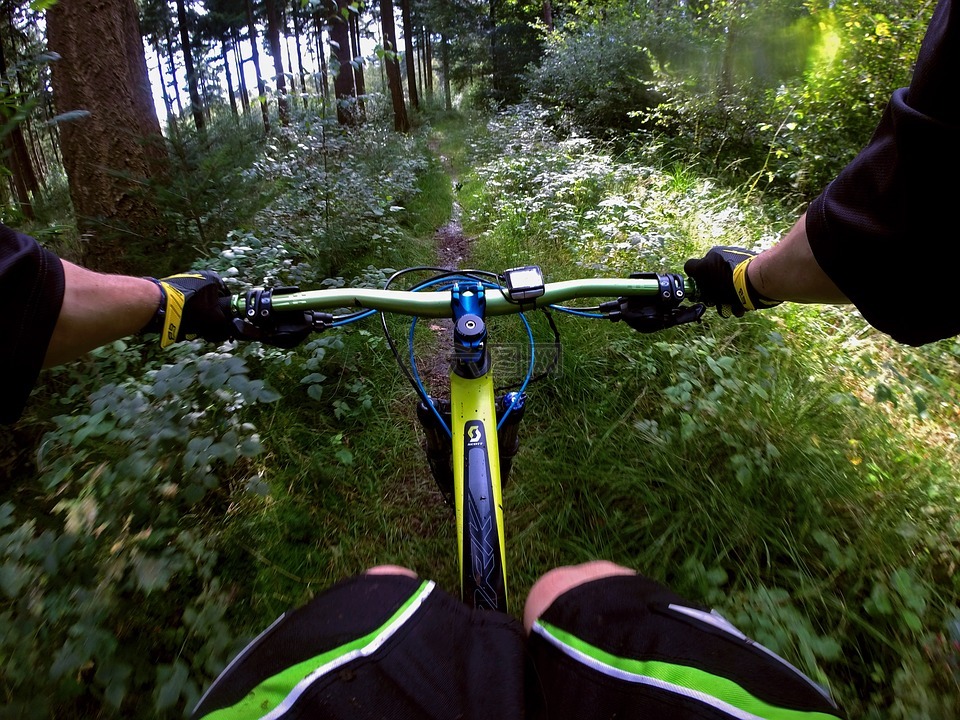 山地自行车,体育,森林