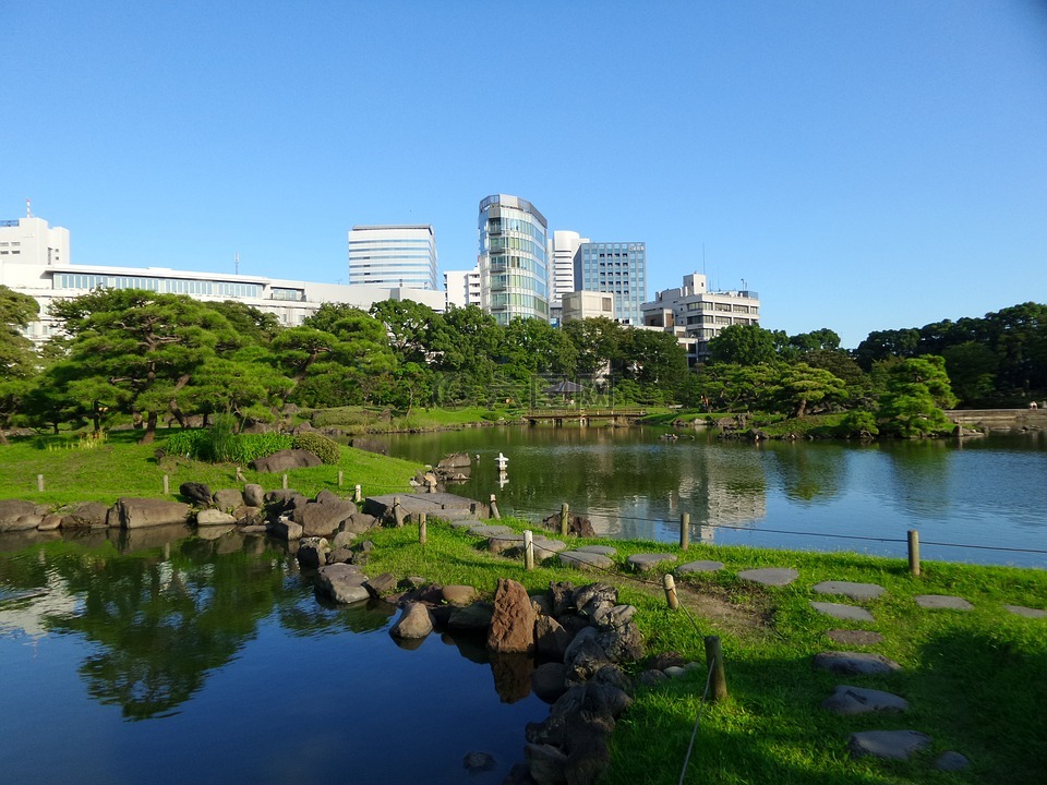 东京,花园,池塘