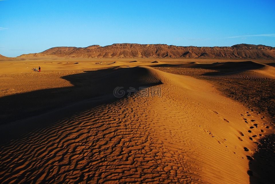 扎戈拉,沙漠,摩洛哥
