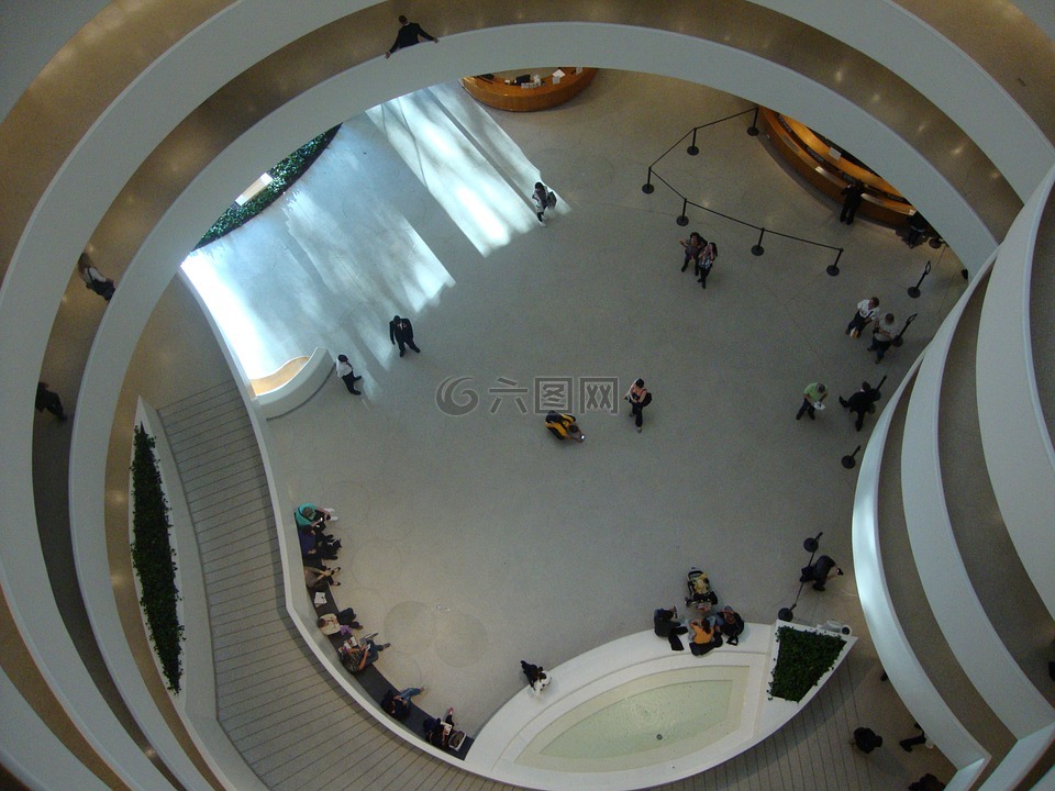 纽约,博物馆,圆形建筑