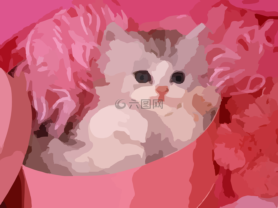 小猫,粉红色的背景,猫