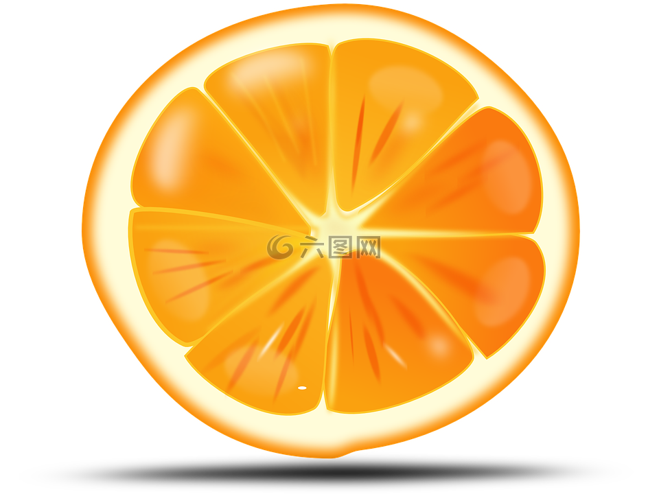 橙色,柑橘,切片