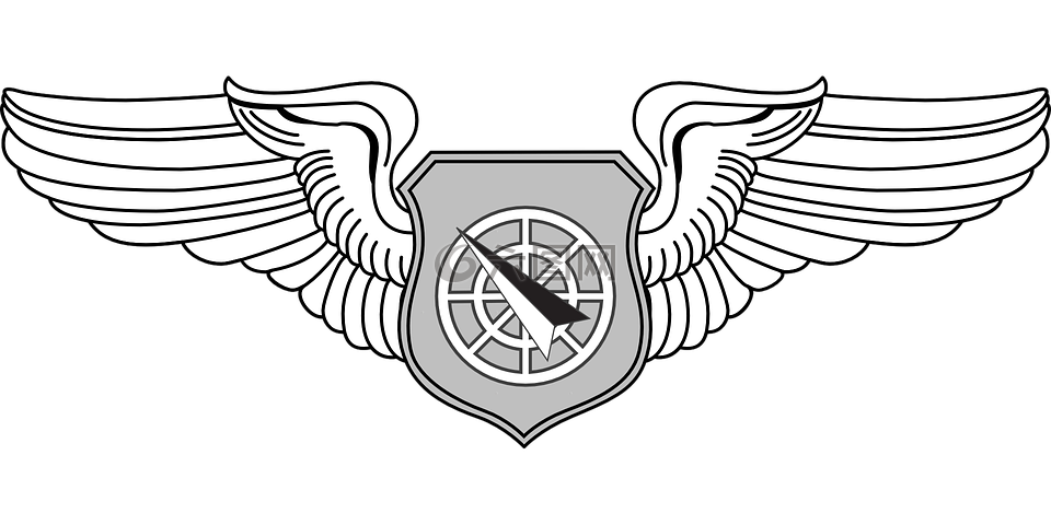 徽章,美国空军,军事