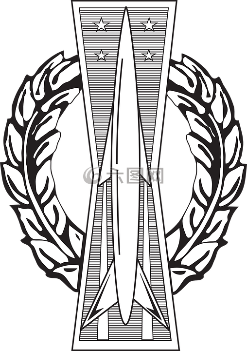 美国空军,空军,徽章