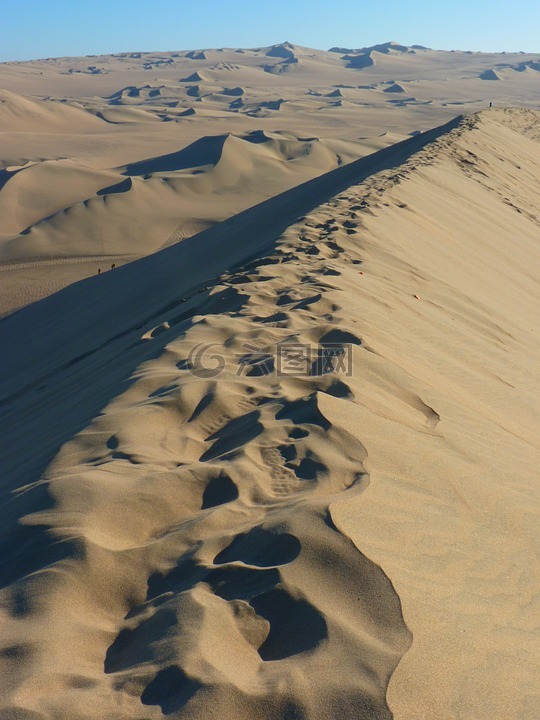 沙漠,沙丘,沙丘岭