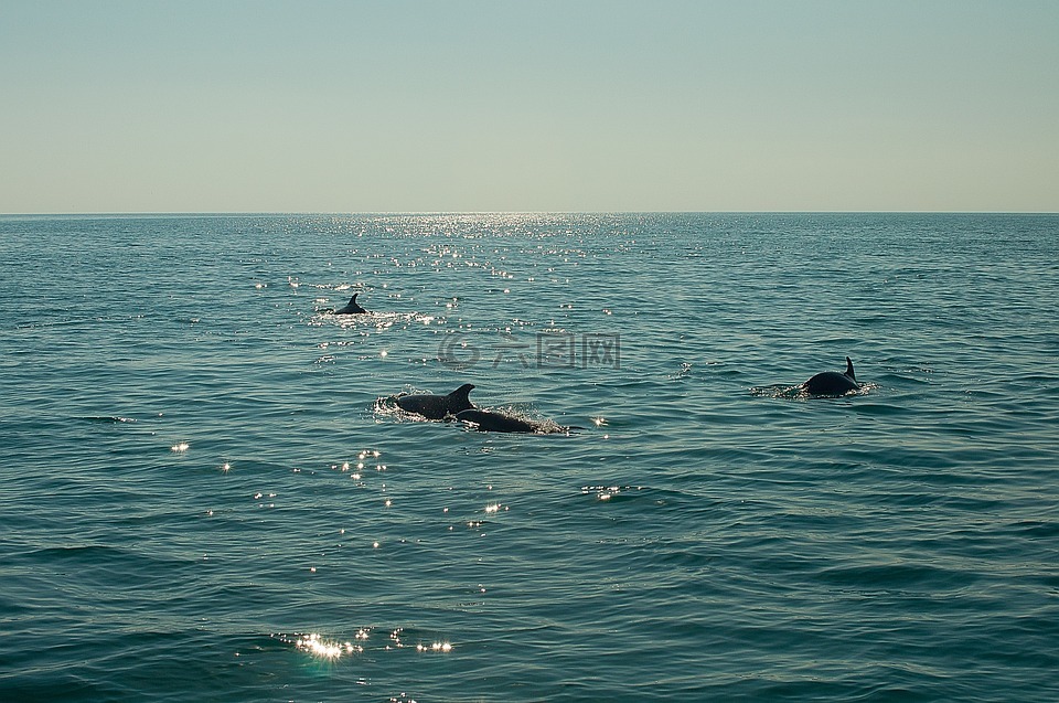 水體,海,海洋