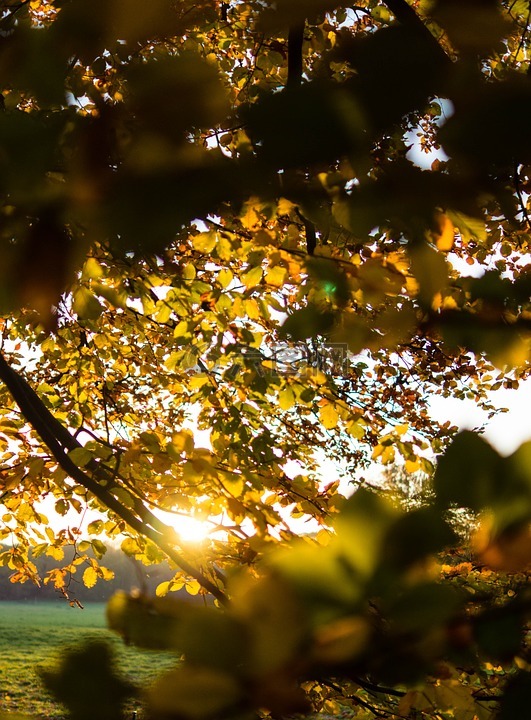 秋天的太阳午后图片