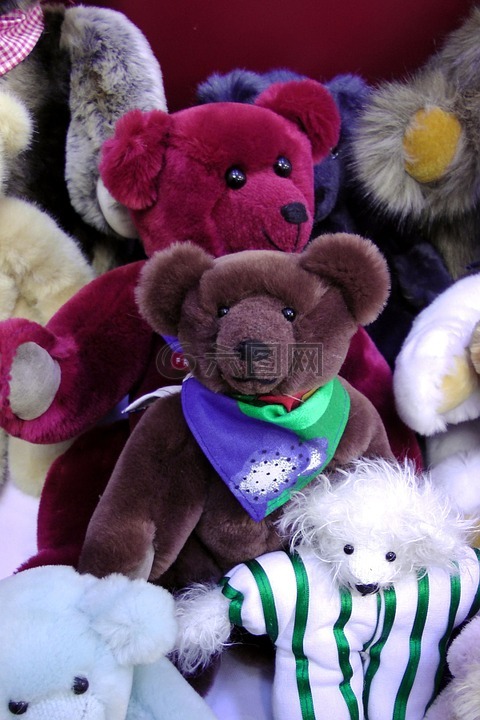 玩具熊,丰富多彩,毛绒动物