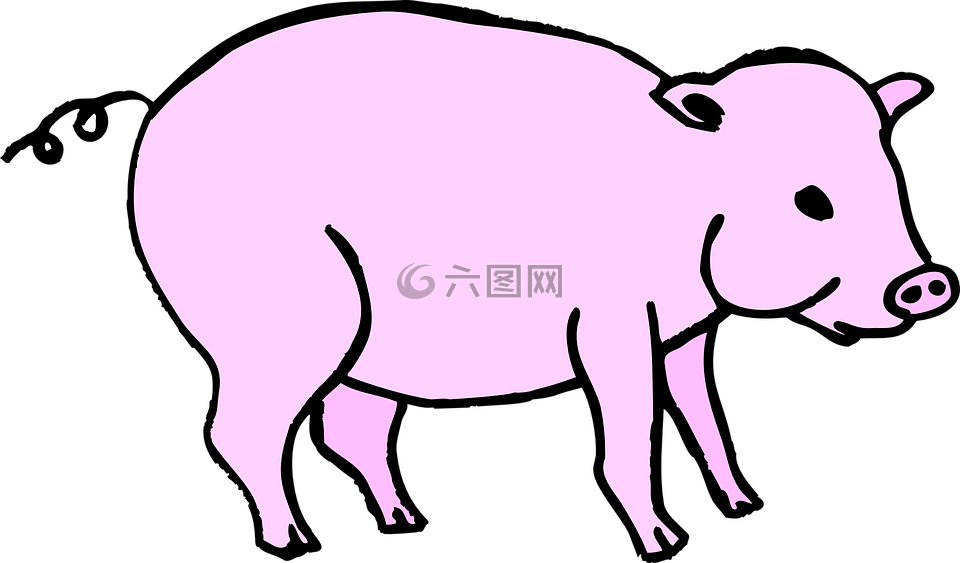 猪,粉红色,谷仓