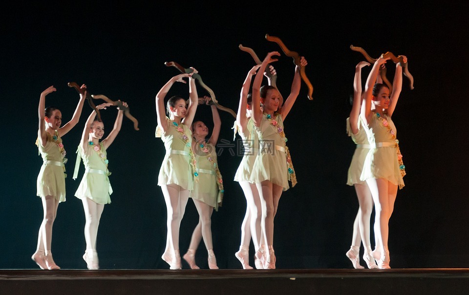 芭蕾舞团,性能,芭蕾舞女演员