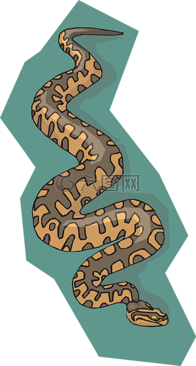 蛇,棕色,背景