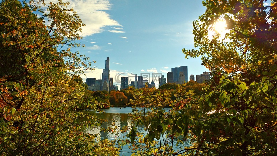 紐約,中央公園,紐約市