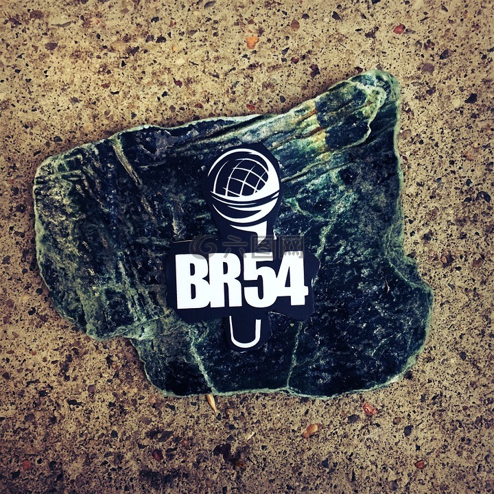 标志,br54,徽标类型