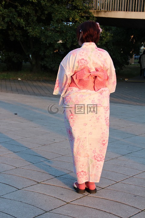 艺伎回忆录,动议,日本