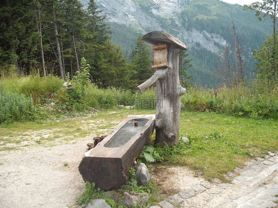 水源,山,高山