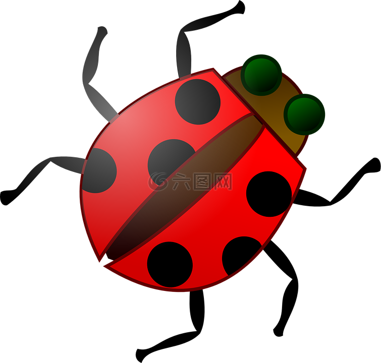 昆虫 甲虫 昆虫 红色高清图库素材免费下载 图片编号 六图网