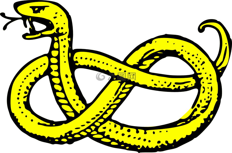 蛇,大蛇,黄色