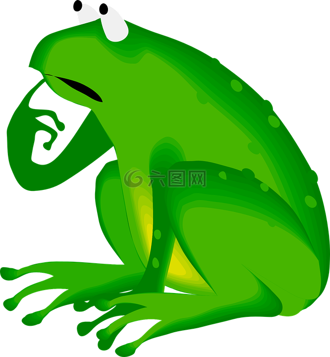 青蛙,绿色,动物