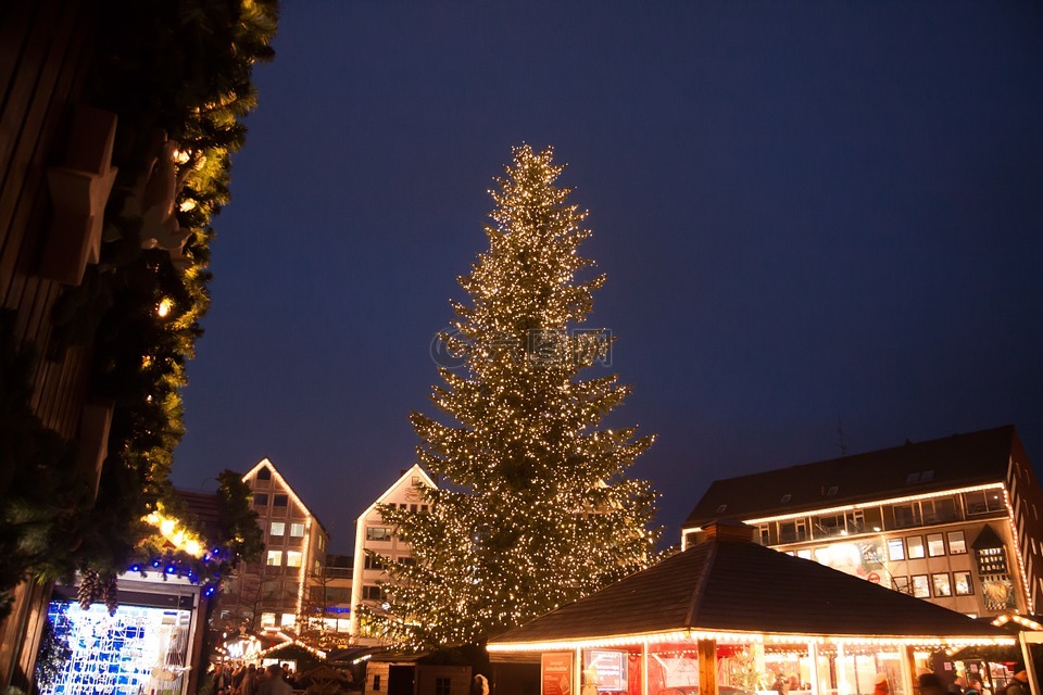 圣诞市场,杉木,圣诞树